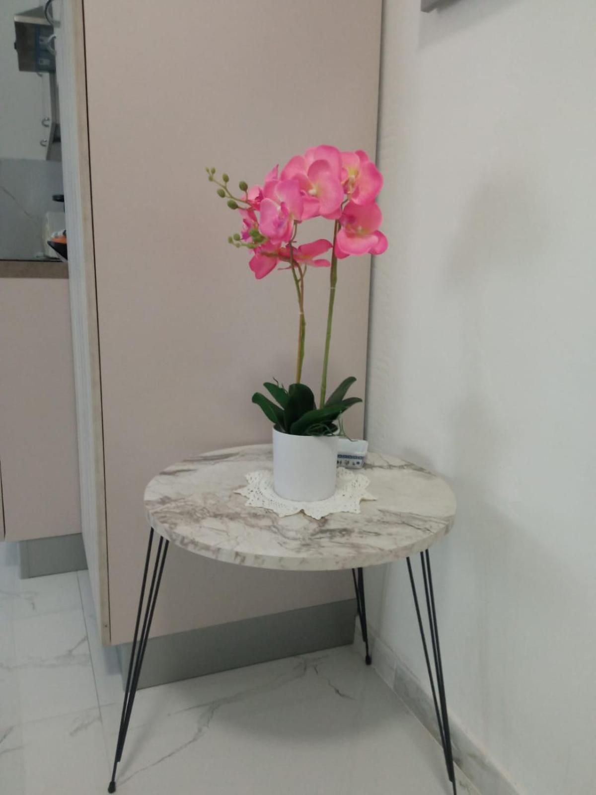 Wh - Dolce Vita - Bilocale - 5 Minuti Dal Centro - Parcheggio Gratuito - Wifi 산레모 외부 사진